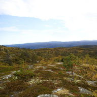 Sjøla–Higeråsen (Vassfjellet)