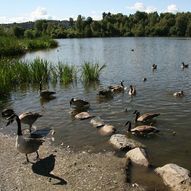 Besøkssenter våtmark - Østensjøvannet