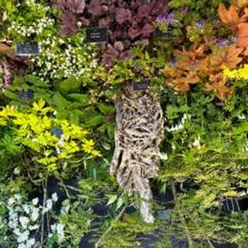 The National Gardening & Outdoor Living Show