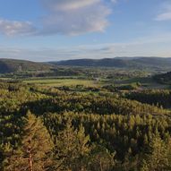 Dugurdsmålknatten (281 moh)