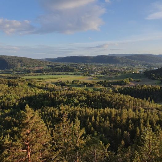 Dugurdsmålknatten (281 moh)