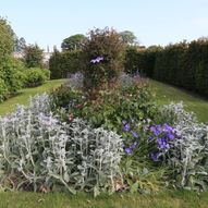 Charity Garden Opening - The Gardens at Archerfield Walled Garden