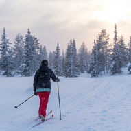 Skitur fra Elgsjø-Dårstul-Vipeto-Elgsjø