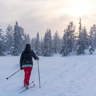 Skitur fra Elgsjø-Dårstul-Vipeto-Elgsjø