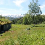 Rundtur i Skjørlægda