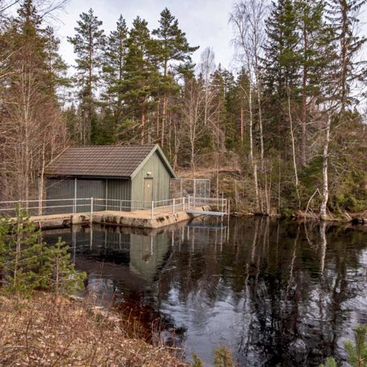 Veslesjøen rundt