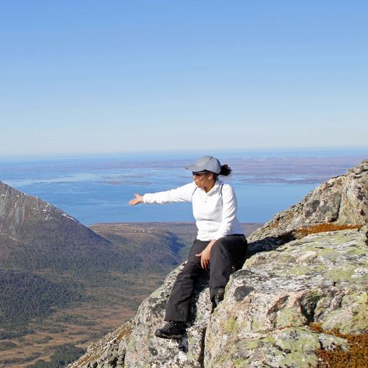 Skarven fra Gullsteinvollen