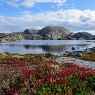 Stølstur fra Kleppa til Eikelandsstølen