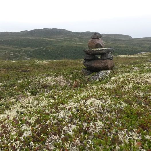 Lett topptur til Kisteåsnatten 1056 moh