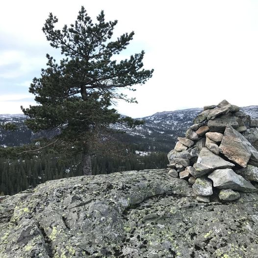 Geiteryggen og Skjoldmøynuten