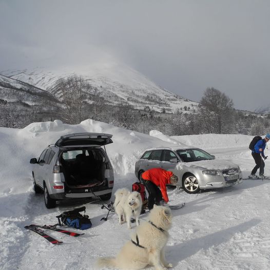 ÅMELLOMFJELLET 1423 moh.