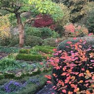 Charity Garden Opening - Woodfall Gardens