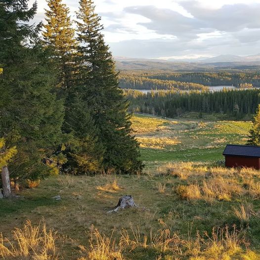 Skihytta-Beitfeltet-Moslinan-Mosslinbukta