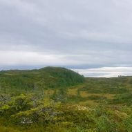 Forbordsfjellet rundt.