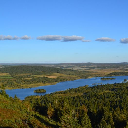 Rundtur Våsdalsknappen og Skjenfjellet