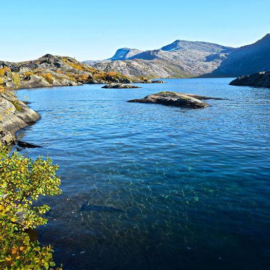 Litlverivatnet i Rago Nasjonalpark