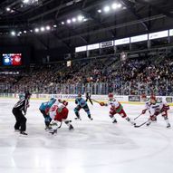 Belfast Giants