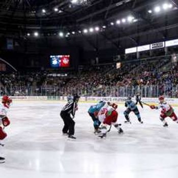 Belfast Giants