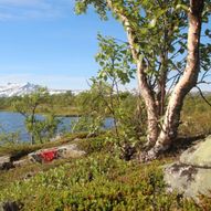  Fossegård (Evenesdalen) til Bleiknes (Saltdal)