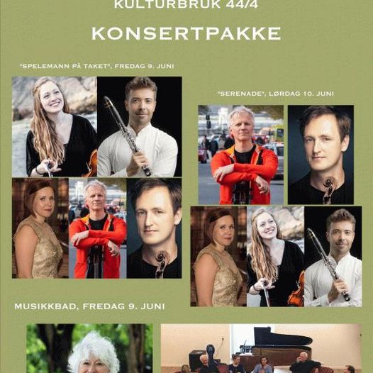 PALKO & Co Juni-HAPPENING 2023: Konsertpakke (2 konserter + Musikkbad)