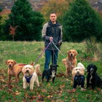 Man's Best Friend