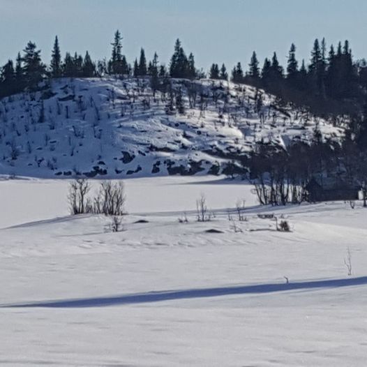 Varhøvd Steinstølan Myklesjøen Endefjell Nystølen Hestedalen Nystølfjellet Dugurdstjedn S. Steinstølan Varhøvd