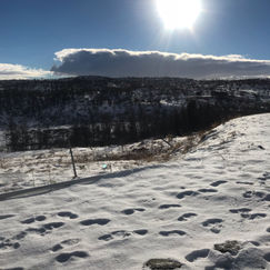 Topptur Geilo (Tuftebrua) – Ustetind (1376 m.o.h.)