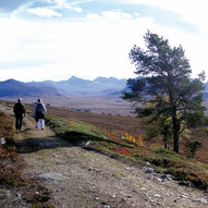 Gruvelistigen i Grimsdalen, Dovre 
