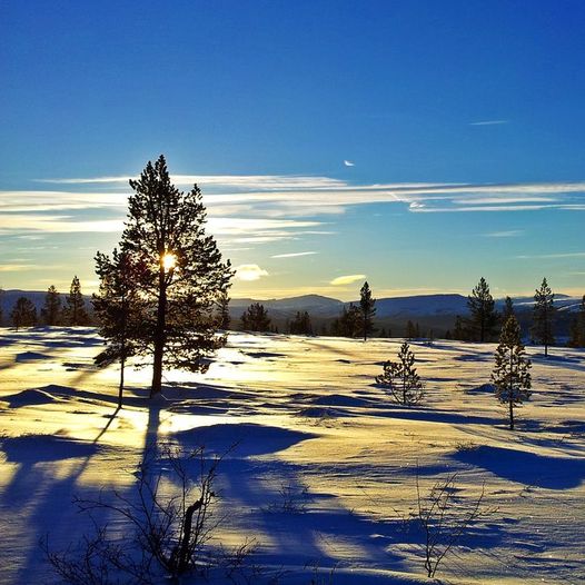 Langtur fra Innset kirke via Damtjønnkjølen, Måssåbakkløkkja, Øyasetetra, Pershøa, Sandbankan, og ned til løypekryss ved Damtjønna nord.