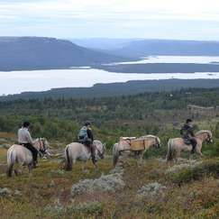 Rideaktiviteter på Langedrag