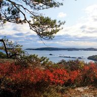 Trulsvikknuten - Skarsvann aktivitetspark ved Risør