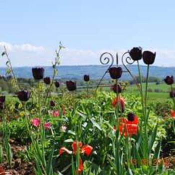 Charity Garden Opening - Wraes