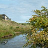 Hauxley reserve walk