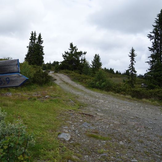 Barnevennlig tur til Smørlifjellet (1100 m.o.h)