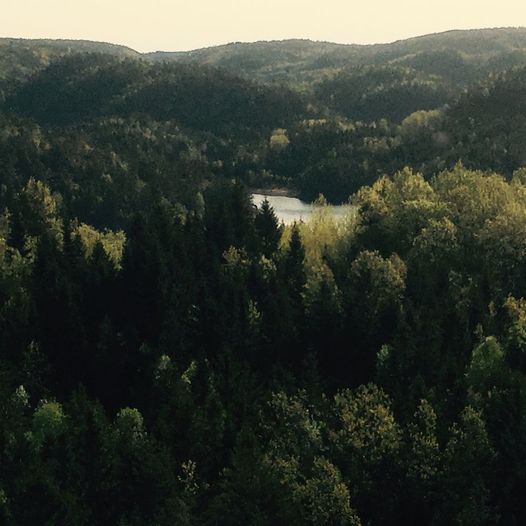 Tur i trolsk terreng  fra Erkleivveien til Jordvannet , Igletjønn og Snømyr tilbake til Jordvannet