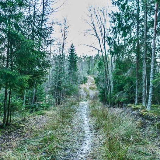 Fottur til Størsrudåsen fra Dammyra