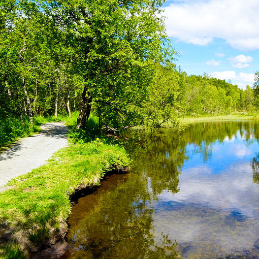 Futelva i Bodø