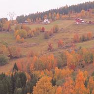 Rundtur Åsgardane - Snodalen - Vindfallet