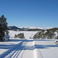 Skorvtjønnåsen - Lomtjønna - Skorvtjønna