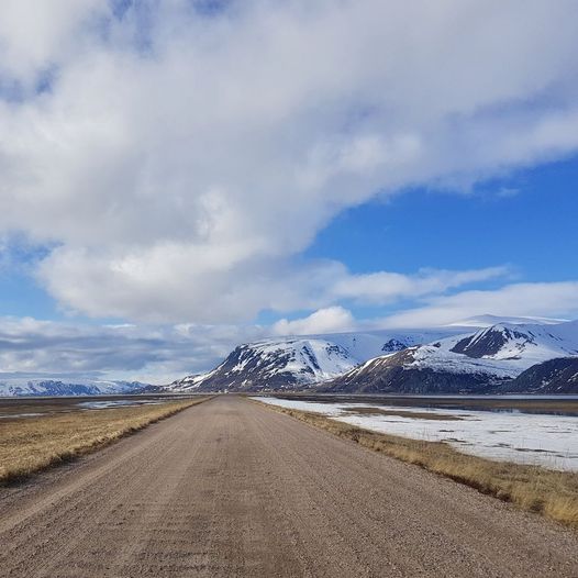 Høyholmen i Tanamunningen naturreservat