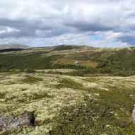 Rundtur Rødalen - Einunndalen