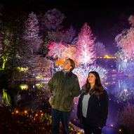 Light Up Sir Harold Hillier Gardens