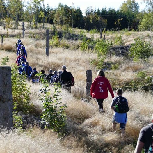 Stasjonsstien fra Tangen til Stange