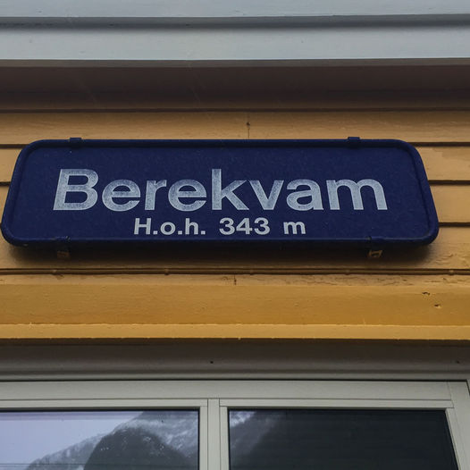 Pudder og tog...og litt lyng - i Flåmsdalen