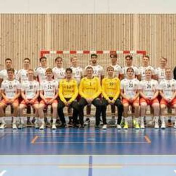 Handballens dag