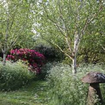 Charity Garden Opening - Stobshiel House