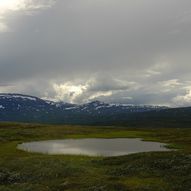 Gjennom Junkerdal nasjonalpark