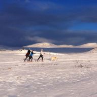 Kinnhovdløypa på Votndalsåsen, Ål i Hallingdal