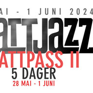 Nattpass 2 // 5 dager // 28 mai - 1 juni