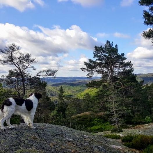 Huseknipen ved Røyknes i Vennesla